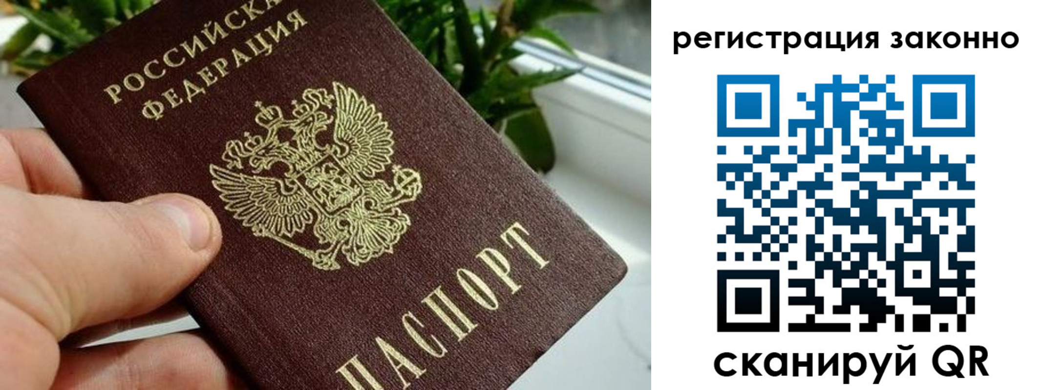 прописка гарантия в Ессентуках